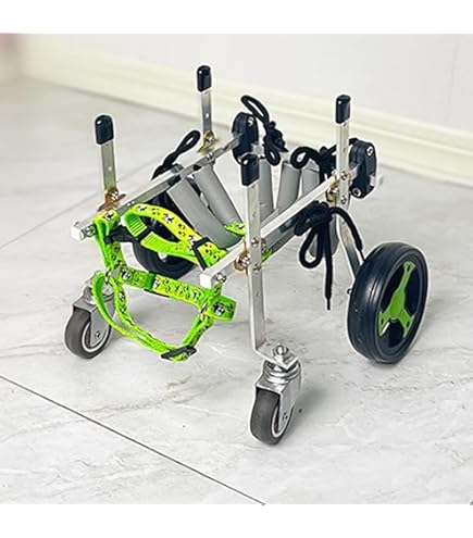 Amazon.co.jp: 犬 車椅子 前足をサポートする4輪犬用車椅子